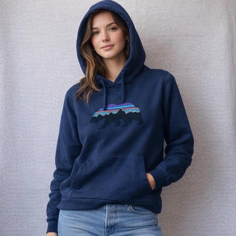 Patagonia Fitz Roy Bear Hooded Sweatshirt Small